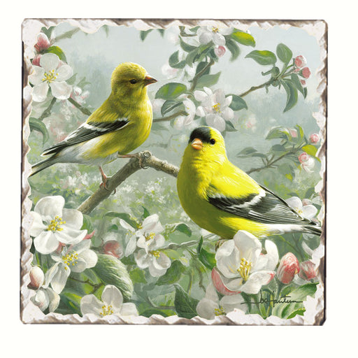 Goldfinches and Apple Blossoms Single Tumbled Tile 4 IN Coaster