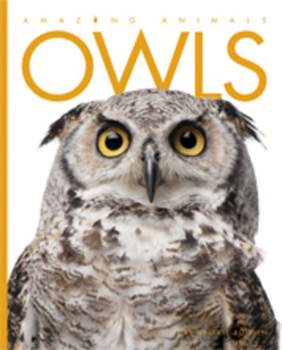 Amazing Animals Owls Book