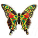 Large Multi Colored Butterfly Door Screen Saver Magnet