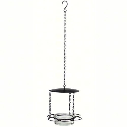 6 IN Clear Hanging Floral Bird Feeder