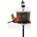 Squirrel Resistant Bird Feeders