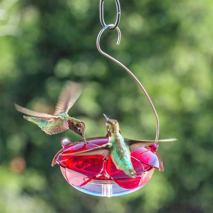 Clear Ruby Sipper Hummingbird Feeder 5 OZ