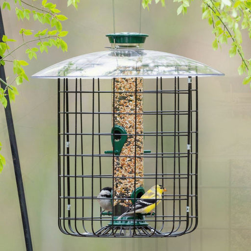 Wild Bird Feeders Shop The Best Bird Feeders & Decorative Bird