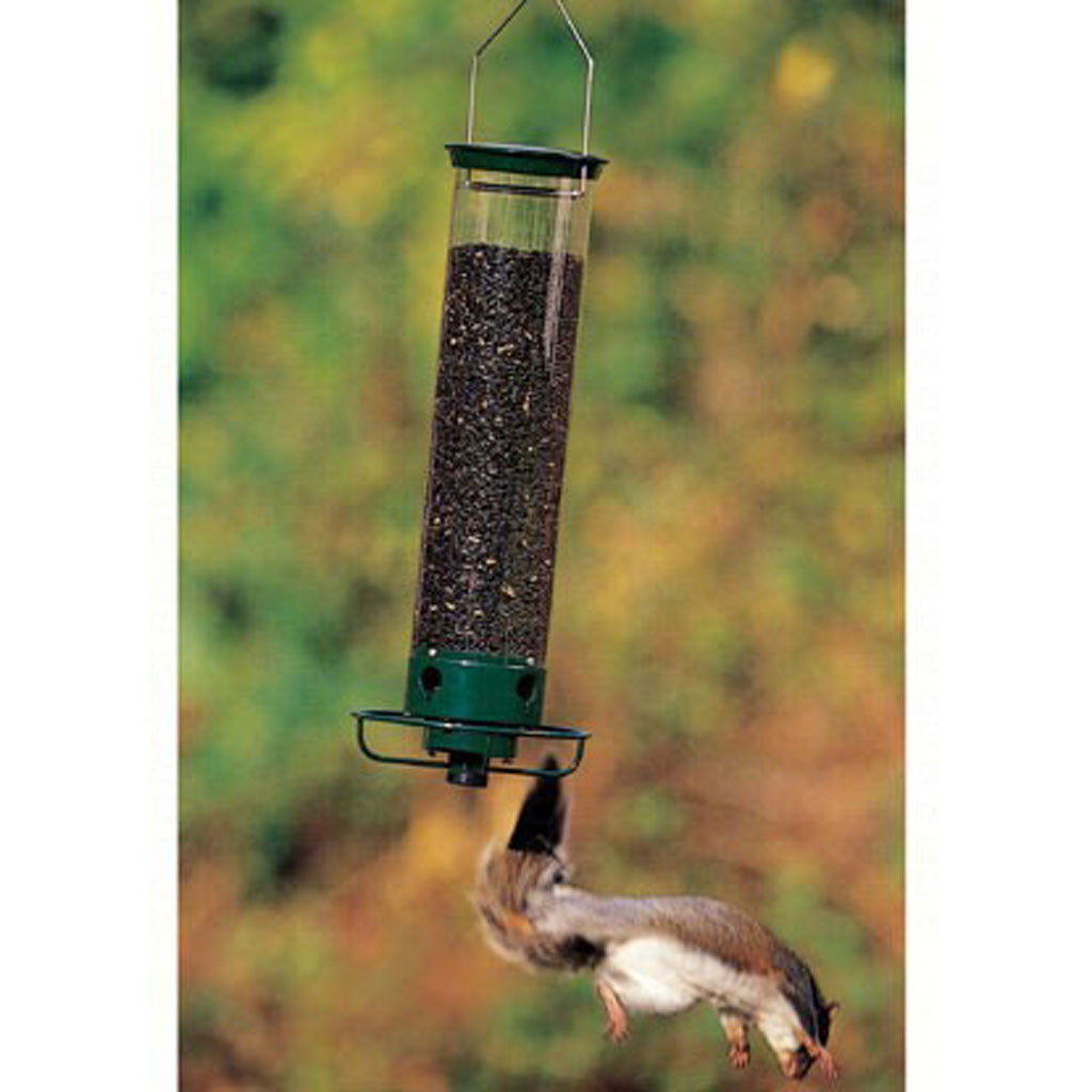 Backyard Birding Store | Shop Backyard Bird & Wild Bird Products ...