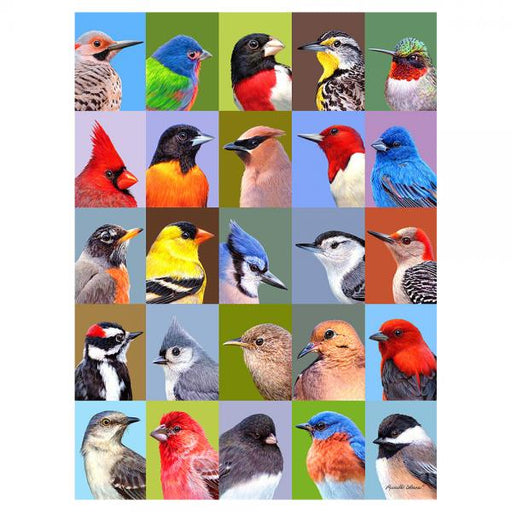 1000 Piece Backyard Bird Friends Puzzle