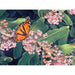 1000 Piece Monarch on Milkweed Puzzle