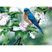 1000 Piece Bluebird On Apple Blossoms Puzzle