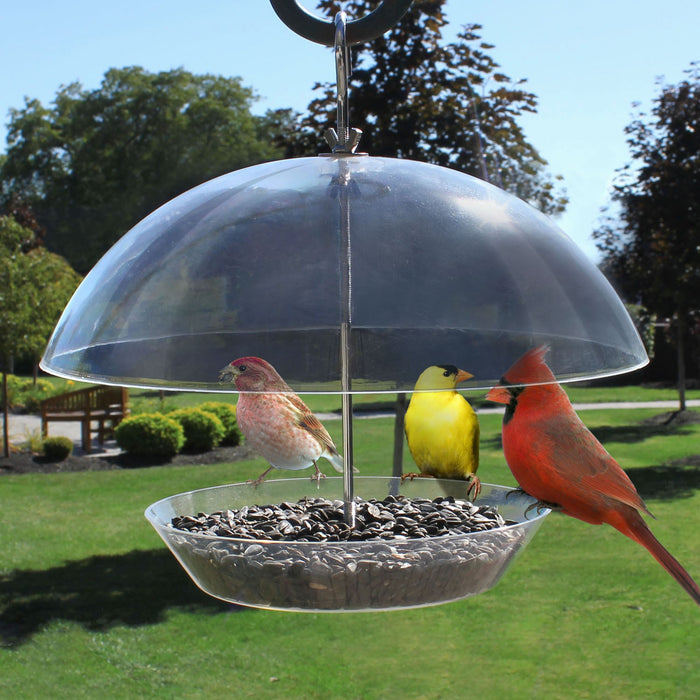 Observatory Dome Bird Feeder 11.75 IN x 11.75 IN x 11 IN