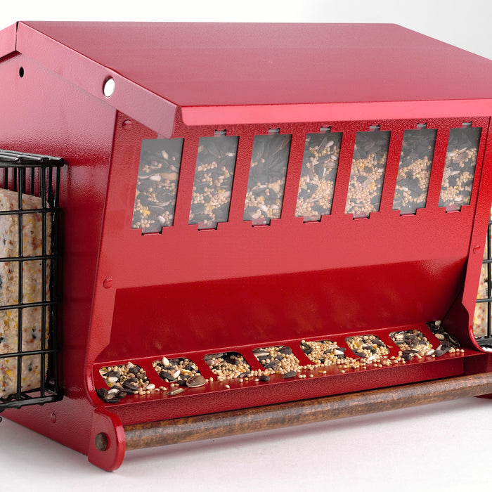 Seed N More Bird Feeder with Side Suet Baskets