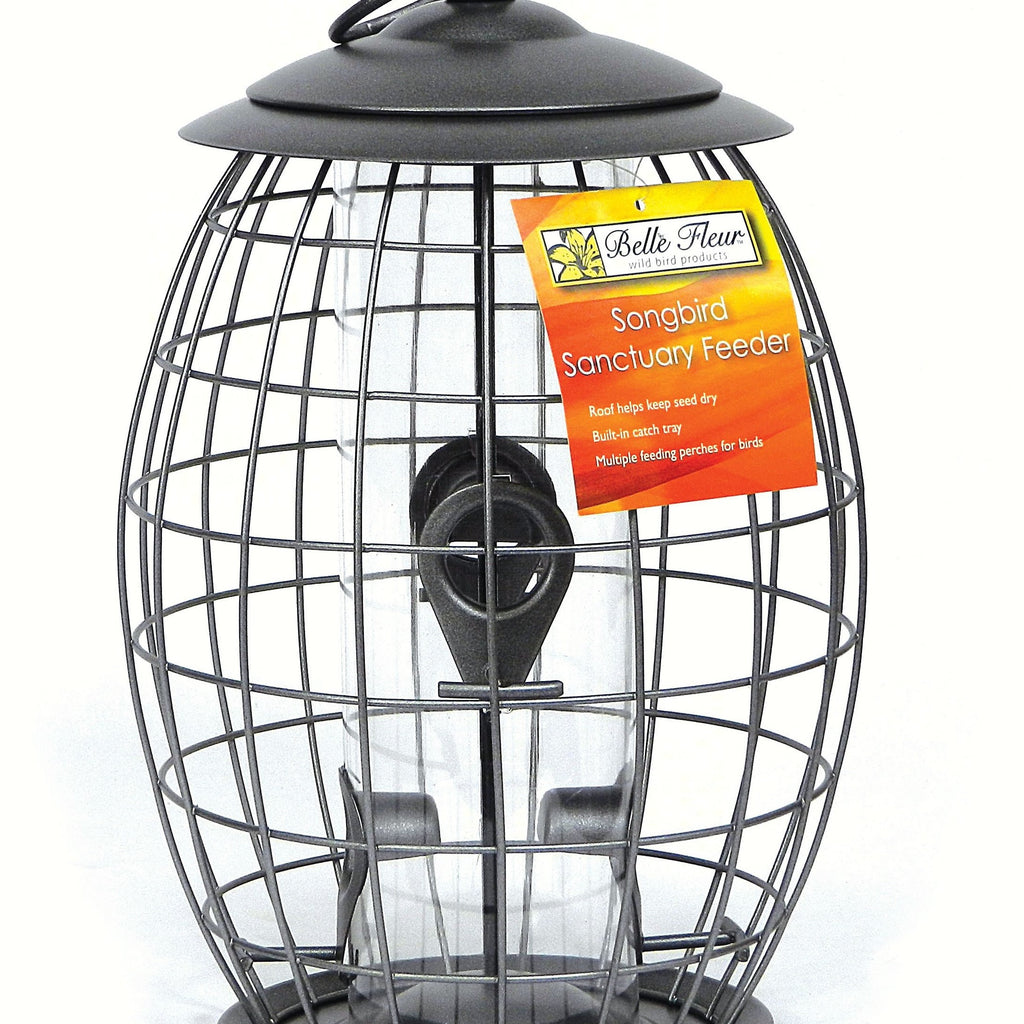 Wild Bird Feeders Shop The Best Bird Feeders & Decorative Bird
