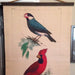 Design Legacy Cardinal And Java Sparrow Wall Hanging Large size 3' W x 5' L