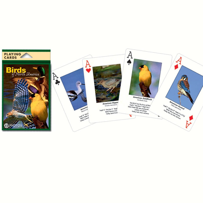 North American Birds Playing Cards