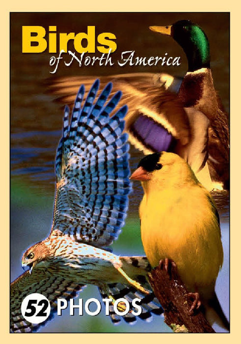 Birds of North America Mini Playing Cards