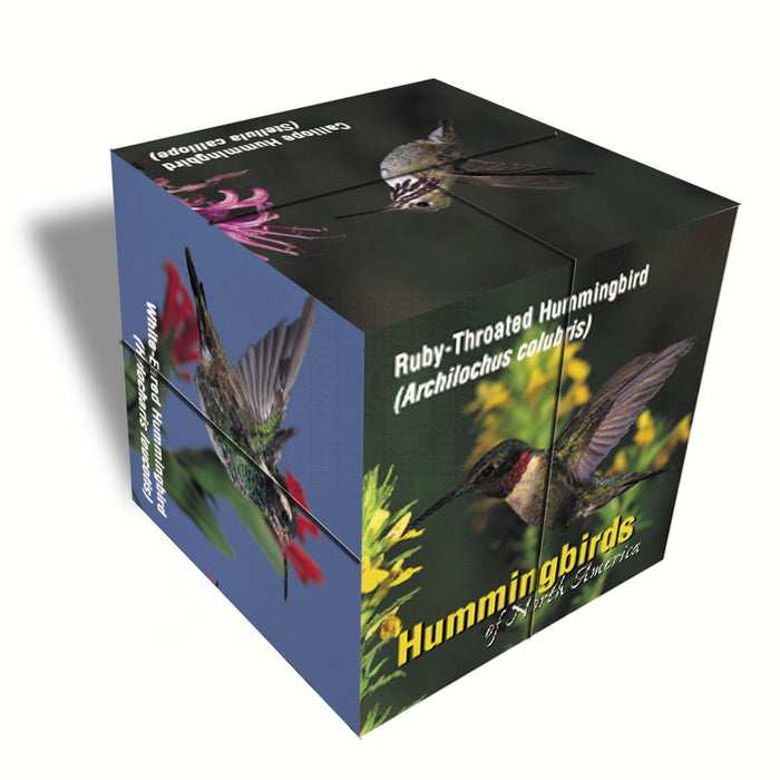 3 IN Hummingbirds North America Photo Cube