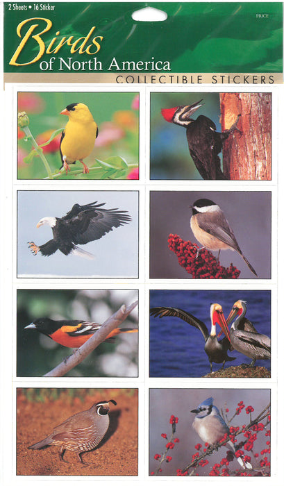 Birds North America Stickers 18 Ct