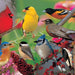 500 Piece Backyard Birds Puzzle