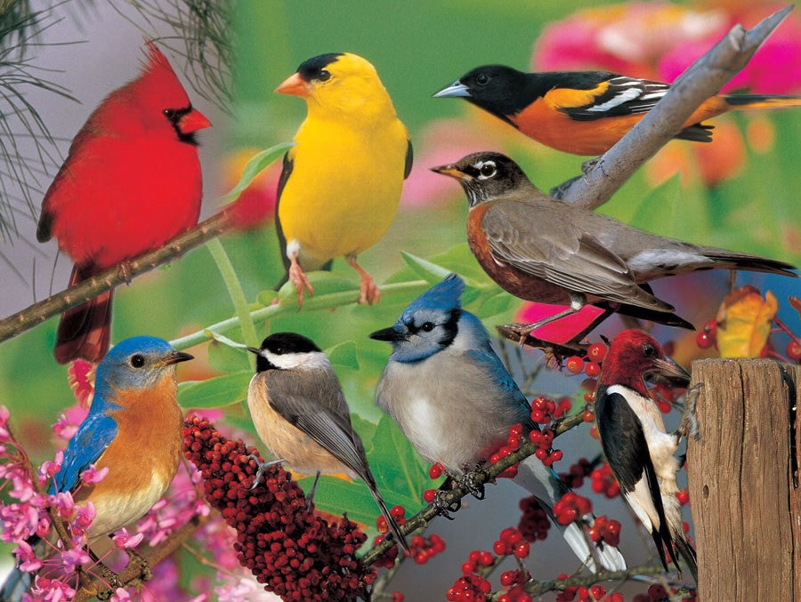 500 Piece Backyard Birds Puzzle