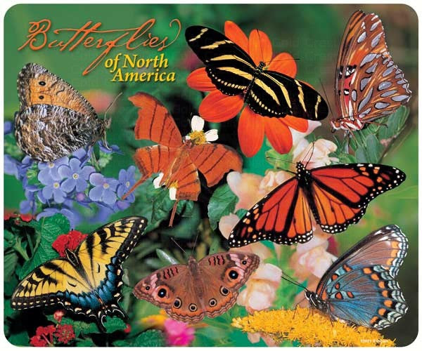 Butterflies Mouse Pad