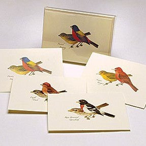 4 Styles 2 Each Peterson Bird Notecard Assortment II