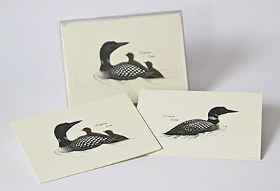 Peterson Loon Notecard Assortment 4 Styles 2 Each