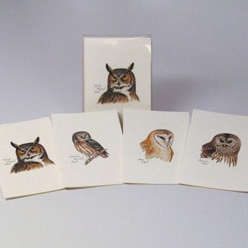 4 Styles 2 Each Petersons Owls Notecard Assortment