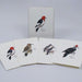 Petersons Woodpecker Notecard Assortment 4 Styles 2 Each 