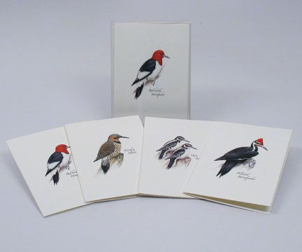 Petersons Woodpecker Notecard Assortment 4 Styles 2 Each