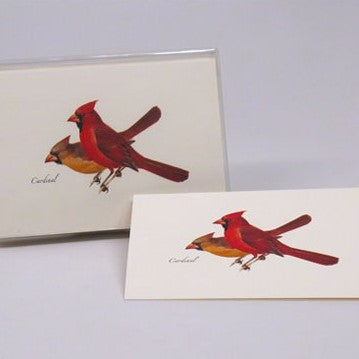 Pack of 8 Cardinal Notecards