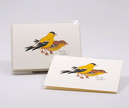 Pack of 8 American Goldfinch Notecards