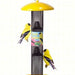 Yellow Straight Sided Finch Bird Feeder 17.5 IN