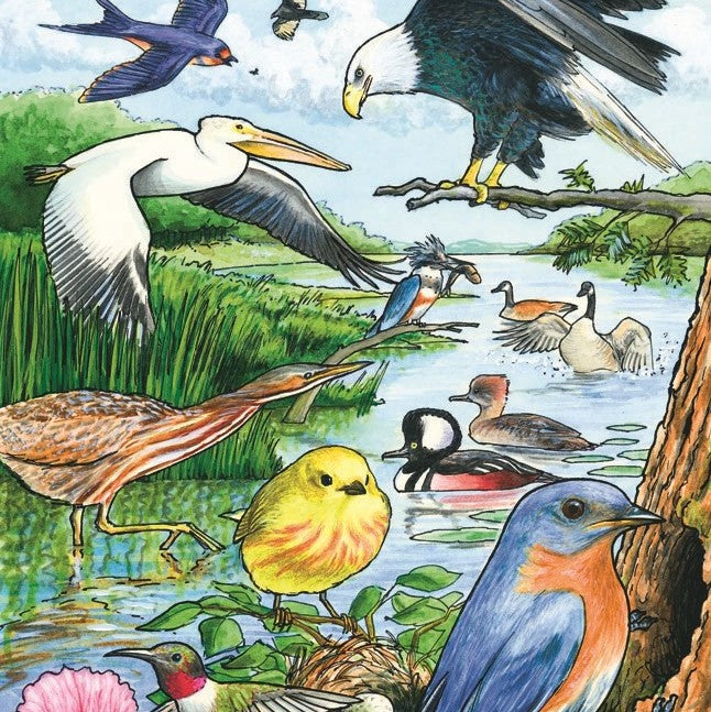 35 Piece North American Birds Tray Bird Puzzle