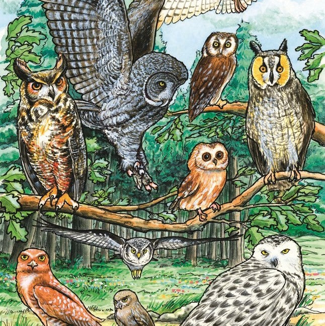 35 Piece North American Owls Tray Bird Puzzle