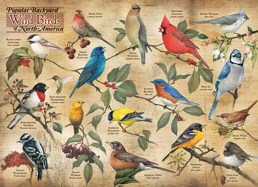 1000 Piece Popular Backyard Birds of North America Puzzle