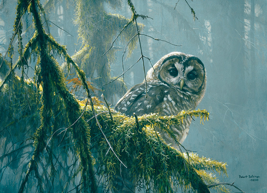 500 Piece Spotted Owl Mossy Branches Puzzle