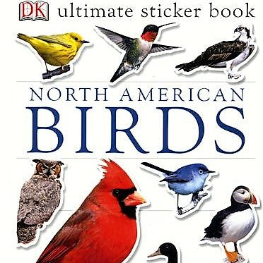 North American Birds Sticker Book