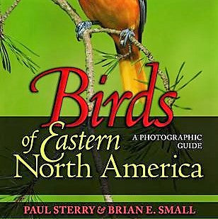 Birds of Eastern North America Guide