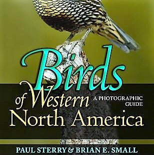 Birds of Western North America Guide