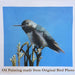 Upload Your Image - Custom Hand Painted Bird Oil Painting - Bird Only