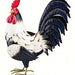 Black And White Rooster Decor 14 IN 