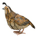 Female Quail Statue Hand Crafted 11.5 IN