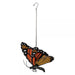 Monarch Butterfly Bouncie