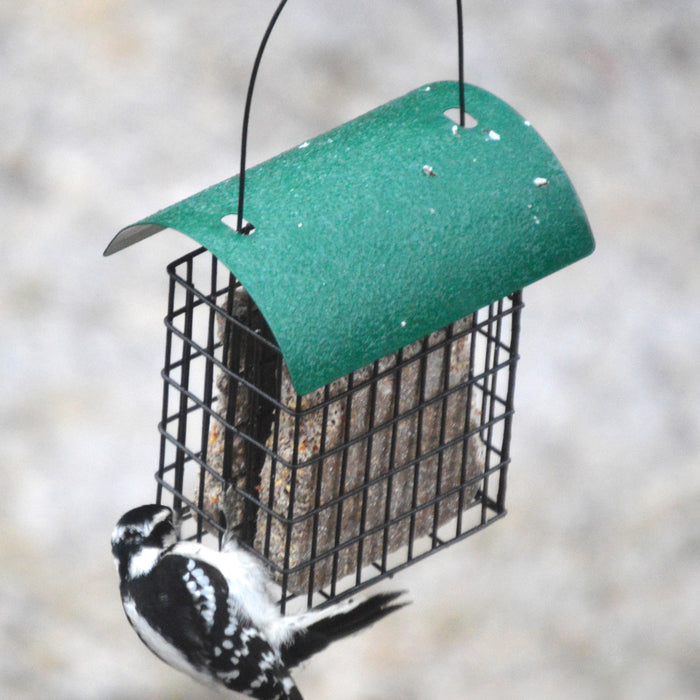 Suet Bird Feeders