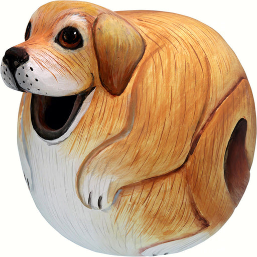 Brown And White Dog Gord O Hanging Wood Birdhouse Hand Carved