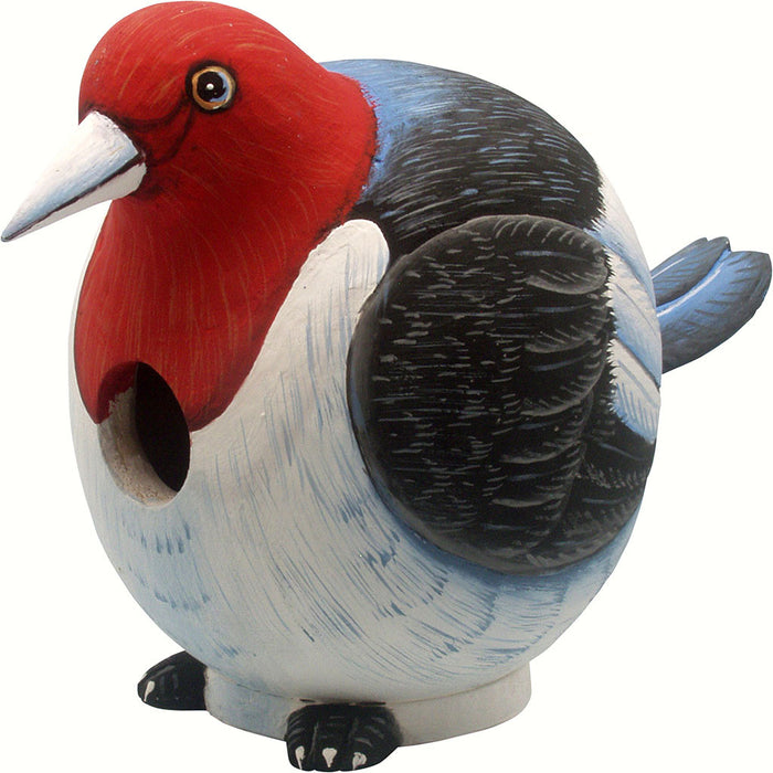 Woodpecker Gord O Hanging Wood Birdhouse Hand Carved