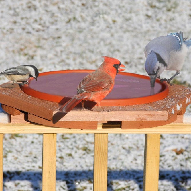 20 IN Red Cedar Heated Deck Bird Bath