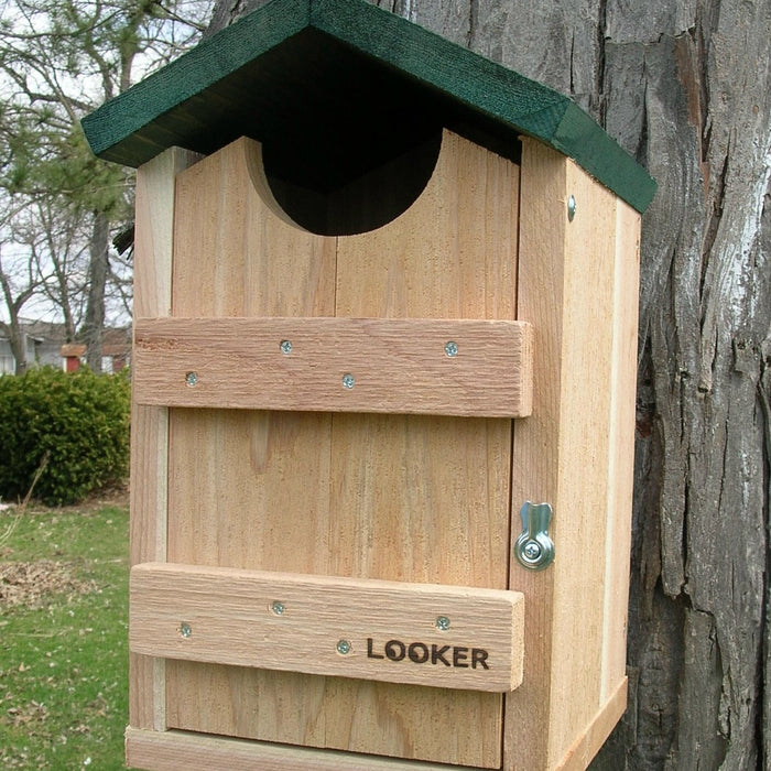 Western Cedar Screech Owl House