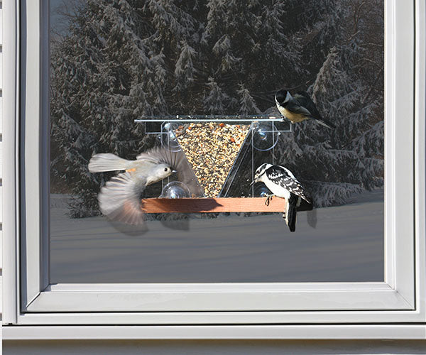 Window Bird Feeder 3, 2.5 Cup Capacity