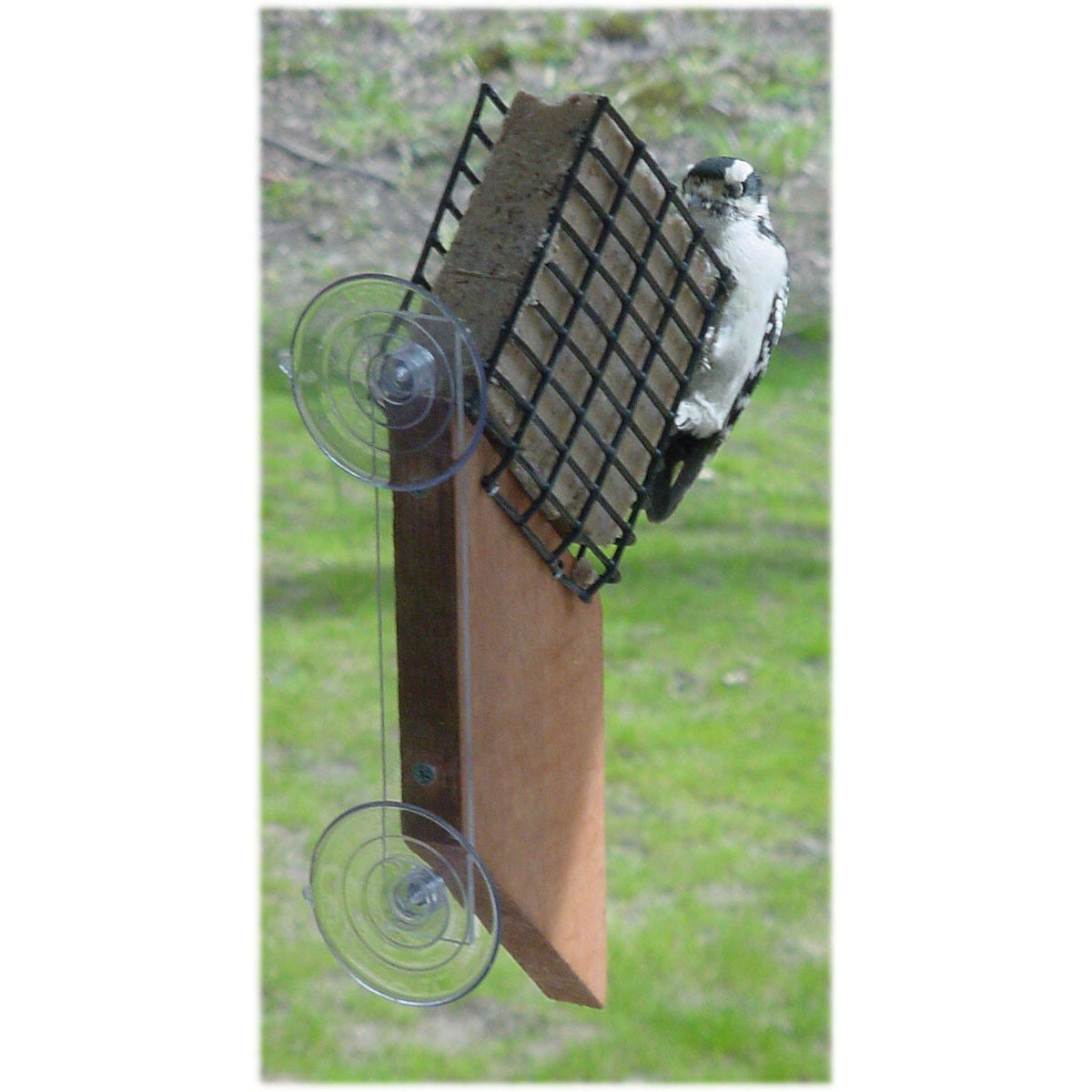 Suet Cake Window Feeder 12 IN — Birdertown