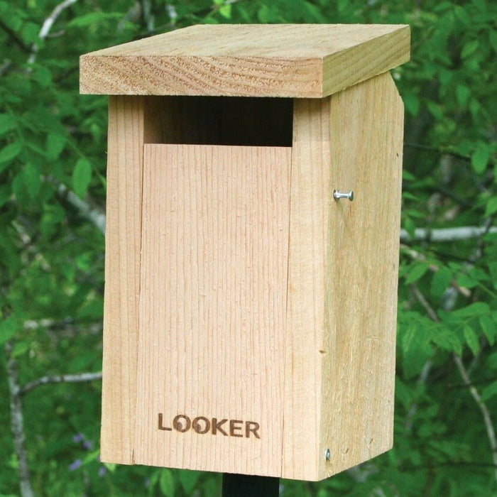Bluebird Slot Sparrow Resistant Wood Bird House