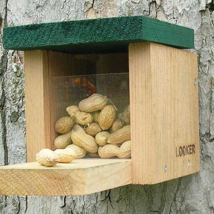 9 IN x 5 IN x 6 IN Solid Wood Snack Box Squirrel Feeder